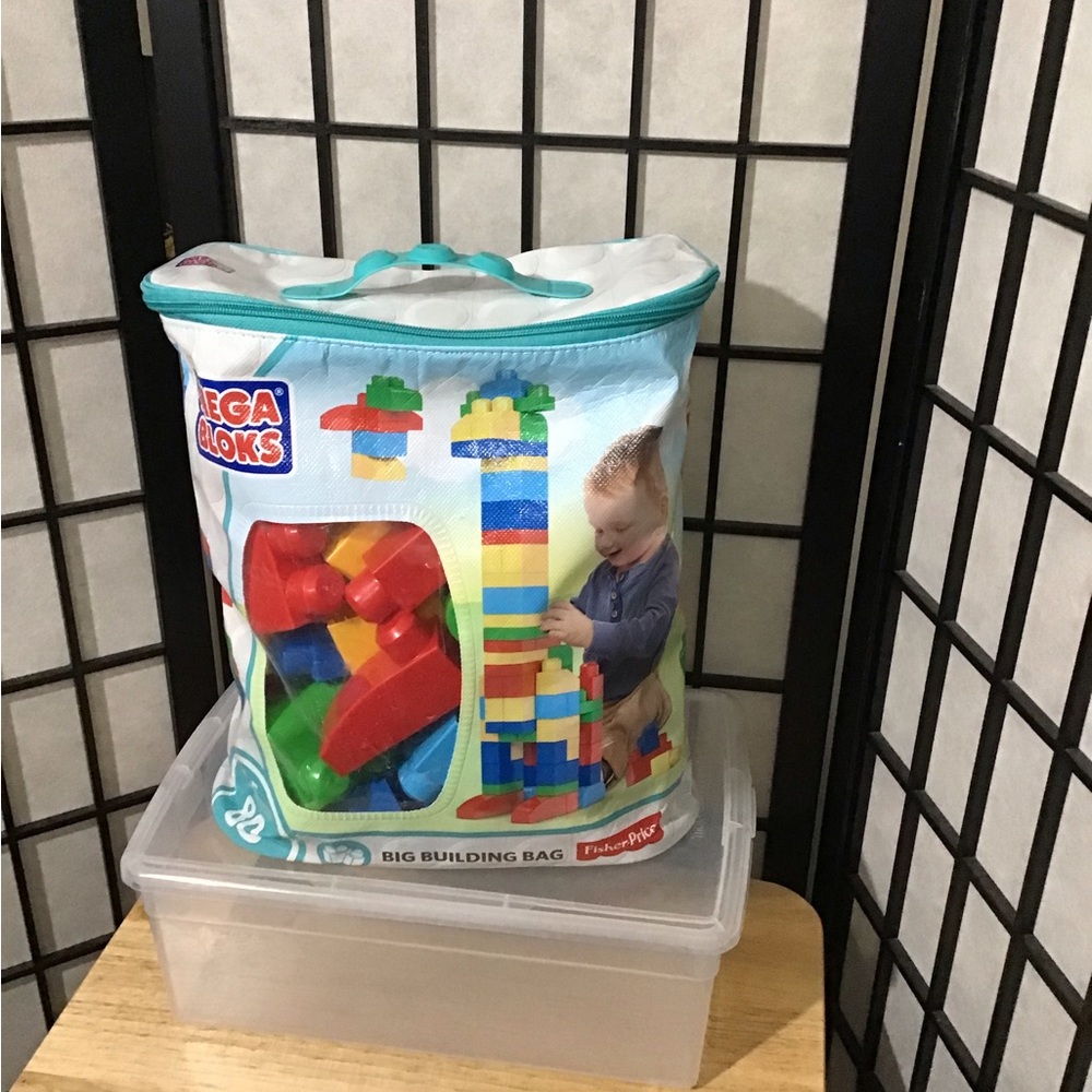 Mega Bloks First Builders Big Building Bag, 80-Piece (Classic)
